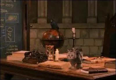 Mr Dursley croit voir un chat qui lit une pancarte. En réalité, ce chat est :