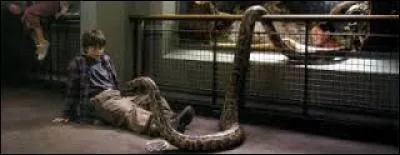 Où se déroule l'anniversaire de Dudley ? Quel ami invite-t-il ?