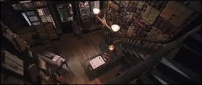 Quelle est la particularité de la baguette de Harry ?