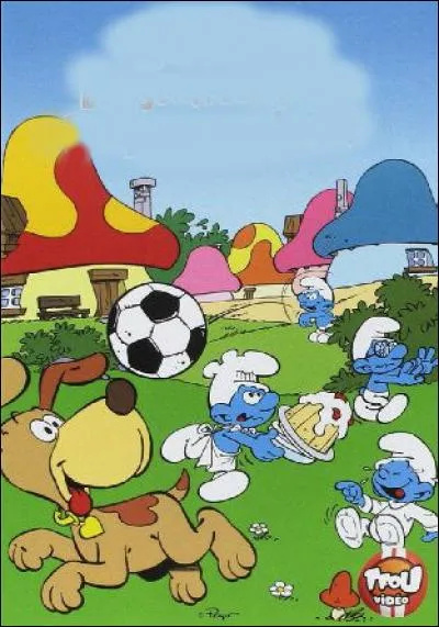 Comment se nomme le chien ?