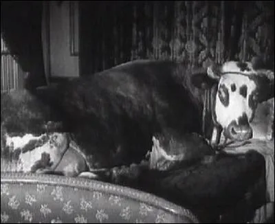 A quel réalisateur espagnol doit-on cette scène surréaliste; une vache dans un lit dans le film " L'Age d'or " ?