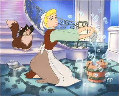 Par contre, que r&eacute;pondez-vous si je vous affirme que la rue de Cendrillon existe bel et bien &agrave; Epinal, en France ?