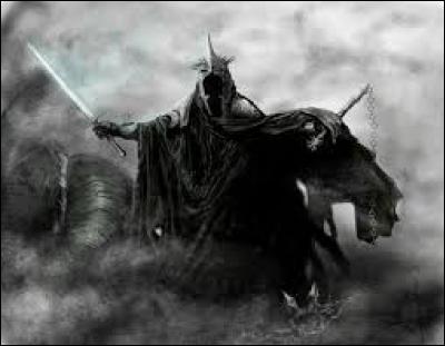 Qui réussit à tuer le roi sorcier d'Angmar ?