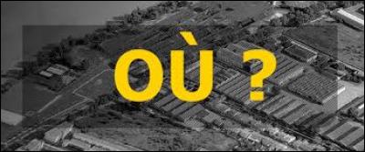 Où Bilbon décide-t-il de partir ?