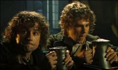Sam et Frodon rencontrent deux hobbits en chemin, qui sont-ils ?