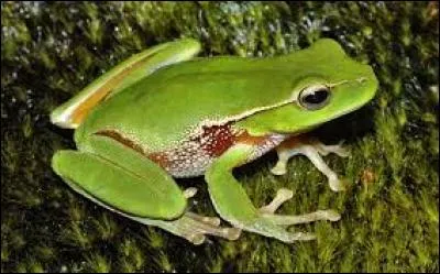 Au sens g&eacute;n&eacute;ral, comment appelle-t-on une consigne si mal tourn&eacute;e qu'elle rend son sens obscur, ridicule ?