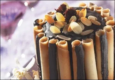 Elle a joué sous la direction des plus grands réalisateurs, de Woody Allen à Visconti. Sa beauté était aussi légendaire et attirante qu'une charlotte russe au chocolat. Mais Charlotte Rampling a-t-elle vraiment eu 70 ans en 2016 ?