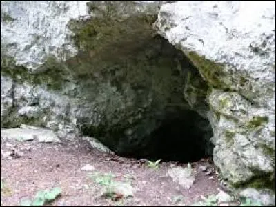 Comment se nomme l'endroit où le loup habite ?