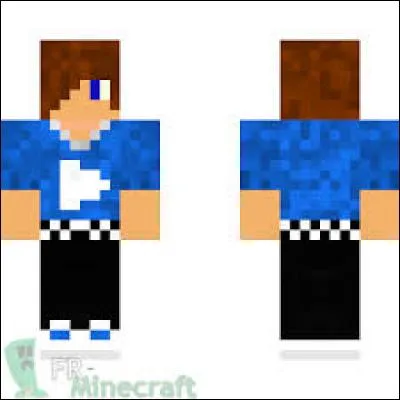 À qui appartenait ce skin ?