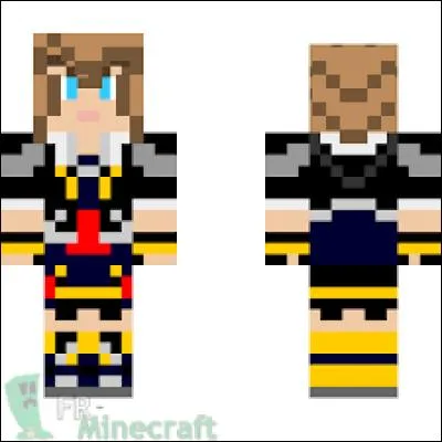 À qui appartient ce skin ?