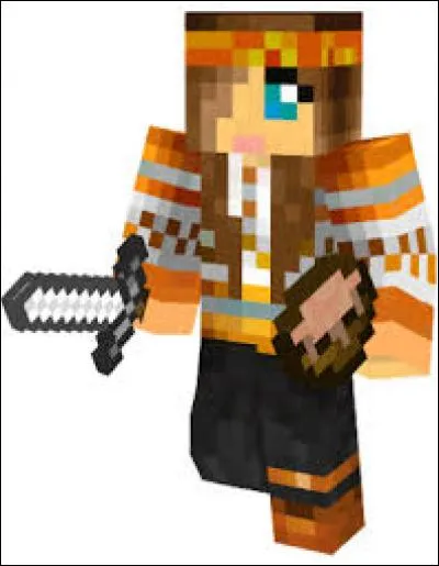 À qui appartient ce skin ?