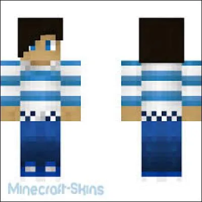 À qui appartient ce skin ?