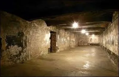 Quel produit été utilisé dans les chambres à gaz du camp d'Auschwitz pendant la Seconde Guerre mondiale ?