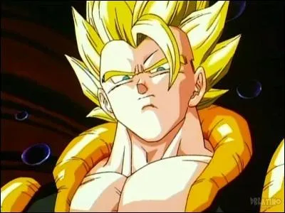 Combien de fois Goku et Vegeta ont fusionn&eacute; en Gogeta ?