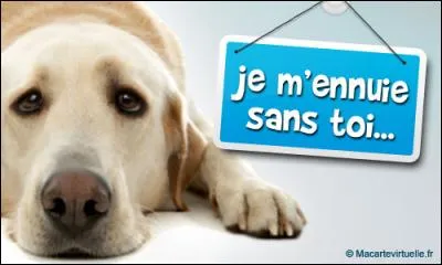 Qui chante "Je m'ennuie" ?