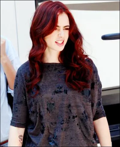 Quelle est cette couleur de cheveux ?