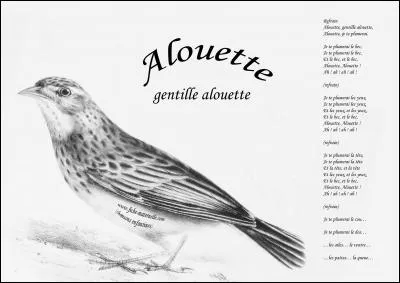 Complétez : "Et ma tête, alouette, ...".