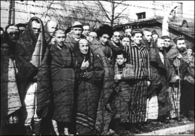 Nous terminerons avec une libération, celle du camp d'Auschwitz-Birkenau. Les troupes soviétiques découvrent le camp d'extermination d'Auschwitz-Birkenau, à l'ouest de Cracovie (Pologne). Elles sont accueillies par 7 000 détenus survivants et ont la révélation de la Shoah. Les journaux du lendemain restent néanmoins muets sur cet événement qui eut lieu le...