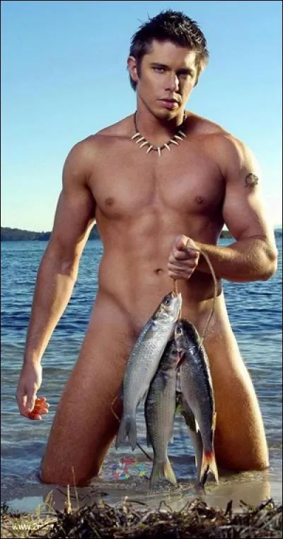 Voici un sosie d'Herbert Léonard, ne trouvez-vous pas ? Enfin, je n'étais pas décidé à mettre Herbert Léonard lui même à 70 ans et à tuer le mythe cruellement. J'aurais pu vous rouler dans la farine comme de la sardine en disant que c'est Herbert jeune, mais bon... En tout cas Herbert, ce vieil air hébété, ce cerbère du disque d'or a eu 70 ans.