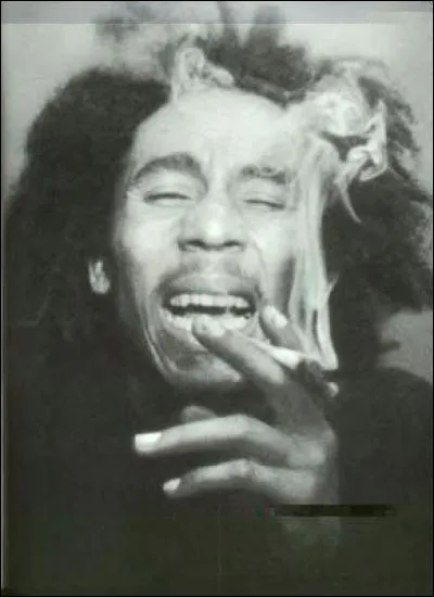 La Cour suprême des États-Unis a rejeté l'appel de fabricants de vêtements qui soutenaient avoir le droit de vendre des t-shirts à l'effigie de l'icône du reggae : Bob Marley. Ces entreprises ont vendu des vêtements avec l'image du chanteur dans les magasins Walmart etc... sans avoir obtenu l'autorisation des enfants de Marley. Bob aurait eu 70 ans en 2015. Comme quoi la drogue ça ne conserve pas.