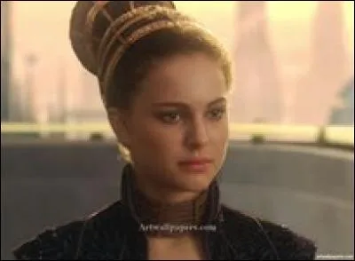 Qui Anakin doit-il protéger ?