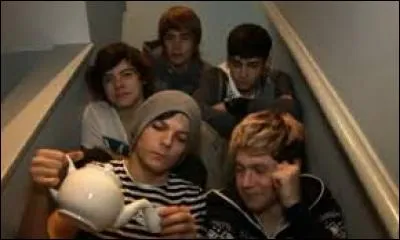 Combien ont-ils tourné de vidéos "Diaries" en tout ?