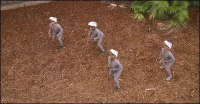 Souvenez-vous, il est véloce ... et fortement raptor !