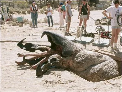 Trouvez le titre de ce film, "en vers" et contre tout !