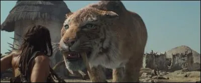 Vous trouverez, si vous savez compter !