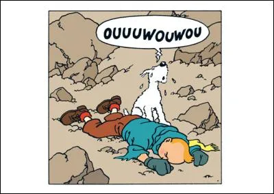 Et qui fera celle du fidèle Milou ?