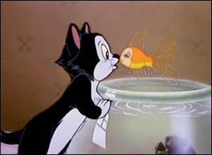 Quiz Disney