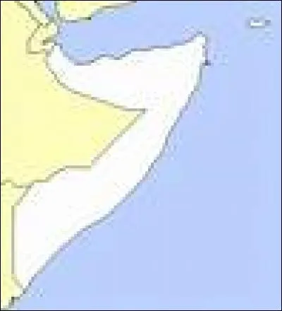 Lequel de ces pays possède un drapeau avec un fond bleu ?