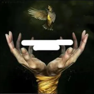 De quel groupe de rock vient cette pochette d'album ?