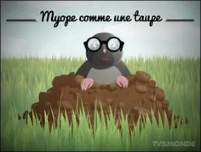 Pourquoi dit-on "être myope comme une taupe" ?