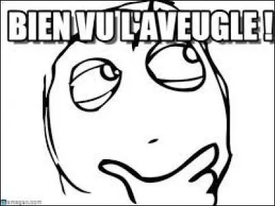 Complétez cette expression : "bien vu..."