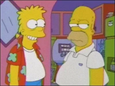 De quoi Homer est-il persuadé ?