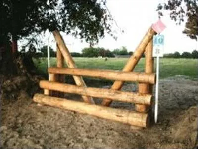 Quel est le nom de cet obstacle ?