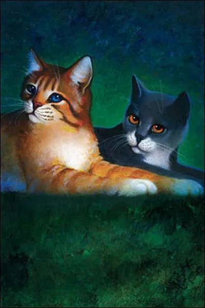 Quel chat n'est pas du Clan du tonnerre ?