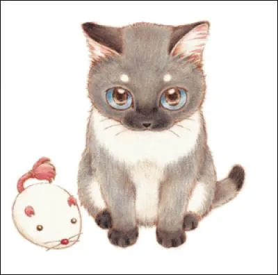 Plum : Et oui... ce chaton est dans un manga ! Les chats ont aussi le droit d'avoir leur place dans ce quiz ! Alors...Devinerez-vous son nom ?