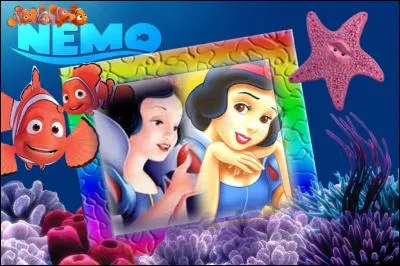 Docteur, je m'appelle N&eacute;mo, quel animal vais-je devenir apr&egrave;s ma naissance ?