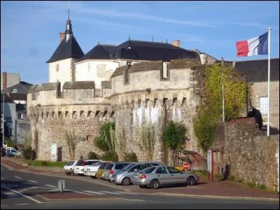 Dans quel département est située la petite ville d'Ancenis qui présente les restes d'une ancienne forteresse et de vieilles demeures ?