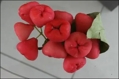 Trouvez le nom de ce fruit !