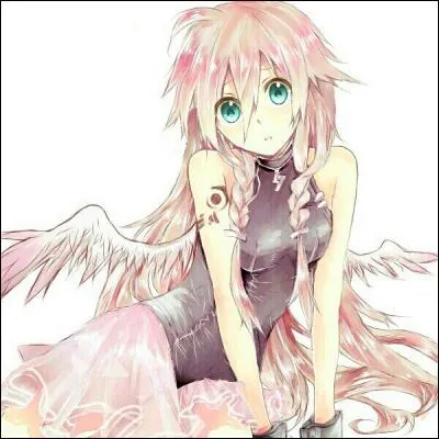 Quel est le nom de famille d'IA ?