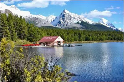 "Canada" est le nom d'une variété de pommes.
