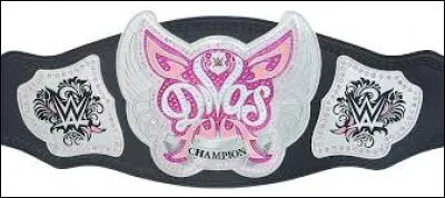 Quel match de divas n'a-t-on pas vu ?