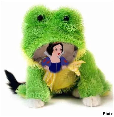 (Puisque certains joueurs n'ont pas de logique, je vous signale qu'il faut cocher la proposition qui n'a pas une faute.)
Docteur, je m'appelle Benoît766, on m'a dit que j'allais mourir dans l'estomac d'une grenouille en plein accouchement, c'est vrai ?