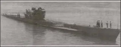 Qui avait lancé la torpille ?