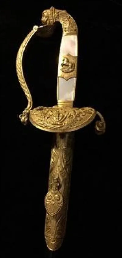 Cette épée d'officier napolitain de l'époque de Murat fut remise à cet auteur par Érik Orsenna dans les salons de l'hôtel Lutétia, le 19 mars 2003. Une figurine en bronze doré et nacre sur la poignée, représente un cheval cabré, symbole de la ville de Naples, et de chaque côté du clavier, les aigles impériales, symbole de l'empire. La poignée est surmontée d'un lion, le signe du zodiaque de...