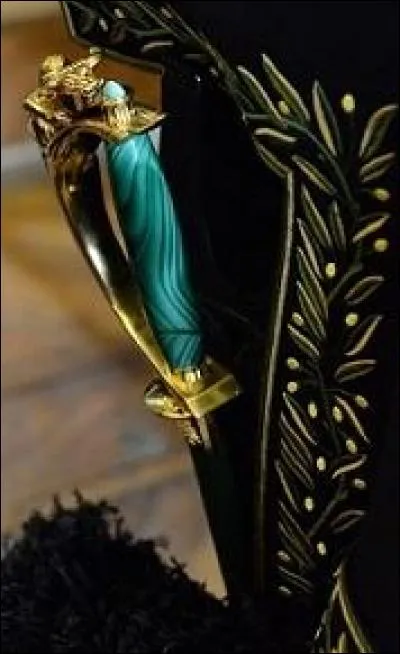 Son épée a été façonnée par la maison Arthus Bertrand. Une sculpture de l'enlèvement d'Europe orne la garde. Deux médaillons représentent Mariane et le cèdre du Liban de part et d'autre du fourreau. La lame est gravée d'un côté, des prénoms de sa femme et de ses trois fils, et de l'autre des premiers mots d'un poème écrit par son père. Elle appartient évidemment à...