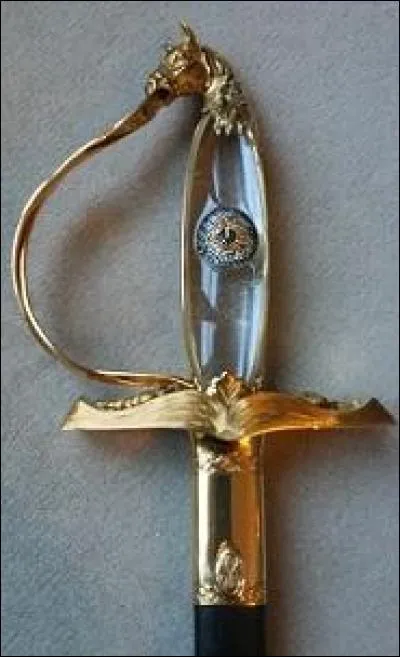 Regardez la garde de cette épée, c'est un livre ouvert qui porte sur ses pages, à gauche un caducée et à droite la main de chirurgien de ce membre. La fusée est en cristal de roche par évocation de la transparence de l'il. Sur ce bloc de cristal est incrustée l'image d'un iris et d'une pupille (de Jacqueline, son épouse). Le pommeau représente la tête en or de son cheval Escorial. Ce bijou est à.